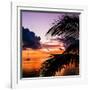 Sunset in Paradise - Florida-Philippe Hugonnard-Framed Photographic Print