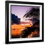 Sunset in Paradise - Florida-Philippe Hugonnard-Framed Photographic Print