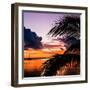 Sunset in Paradise - Florida-Philippe Hugonnard-Framed Photographic Print