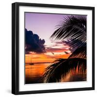 Sunset in Paradise - Florida-Philippe Hugonnard-Framed Photographic Print