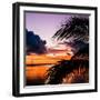 Sunset in Paradise - Florida-Philippe Hugonnard-Framed Photographic Print