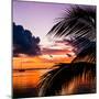 Sunset in Paradise - Florida-Philippe Hugonnard-Mounted Photographic Print