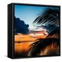 Sunset in Paradise - Florida-Philippe Hugonnard-Framed Stretched Canvas