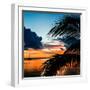 Sunset in Paradise - Florida-Philippe Hugonnard-Framed Photographic Print