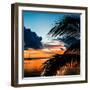 Sunset in Paradise - Florida-Philippe Hugonnard-Framed Premium Photographic Print