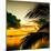 Sunset in Paradise - Florida-Philippe Hugonnard-Mounted Photographic Print