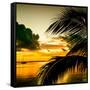 Sunset in Paradise - Florida-Philippe Hugonnard-Framed Stretched Canvas