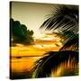 Sunset in Paradise - Florida-Philippe Hugonnard-Stretched Canvas