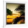 Sunset in Paradise - Florida-Philippe Hugonnard-Framed Photographic Print