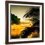 Sunset in Paradise - Florida-Philippe Hugonnard-Framed Photographic Print