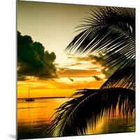 Sunset in Paradise - Florida-Philippe Hugonnard-Mounted Photographic Print