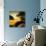 Sunset in Paradise - Florida-Philippe Hugonnard-Mounted Photographic Print displayed on a wall