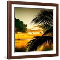 Sunset in Paradise - Florida-Philippe Hugonnard-Framed Photographic Print