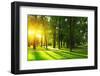 Sunset in Park with Trees and Green Grass-Dudarev Mikhail-Framed Photographic Print