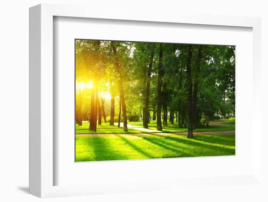 Sunset in Park with Trees and Green Grass-Dudarev Mikhail-Framed Photographic Print