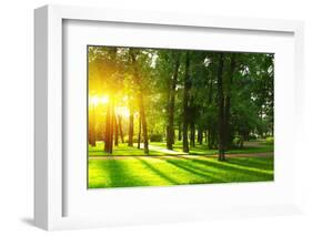 Sunset in Park with Trees and Green Grass-Dudarev Mikhail-Framed Photographic Print