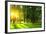 Sunset in Park with Trees and Green Grass-Dudarev Mikhail-Framed Photographic Print