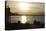 Sunset in San Francisco Bay, California-Anna Miller-Stretched Canvas