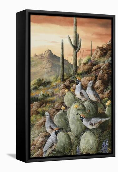 Sunset in Sonora-Trevor V. Swanson-Framed Stretched Canvas