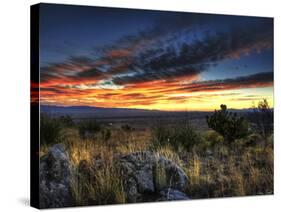 Sunset in the Desert IV-David Drost-Stretched Canvas