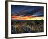 Sunset in the Desert IV-David Drost-Framed Photographic Print