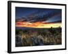 Sunset in the Desert IV-David Drost-Framed Photographic Print