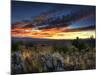 Sunset in the Desert IV-David Drost-Mounted Photographic Print