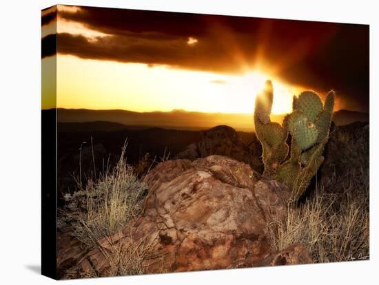 Sunset in the Desert V-David Drost-Stretched Canvas