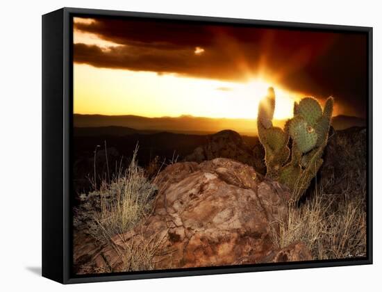 Sunset in the Desert V-David Drost-Framed Stretched Canvas