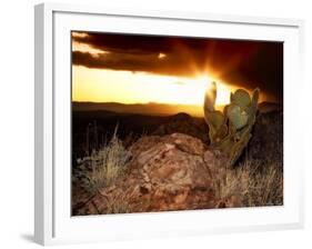 Sunset in the Desert V-David Drost-Framed Photographic Print