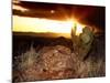 Sunset in the Desert V-David Drost-Mounted Photographic Print