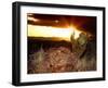 Sunset in the Desert V-David Drost-Framed Photographic Print