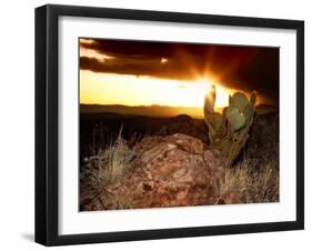 Sunset in the Desert V-David Drost-Framed Photographic Print