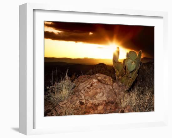 Sunset in the Desert V-David Drost-Framed Photographic Print