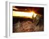 Sunset in the Desert V-David Drost-Framed Photographic Print