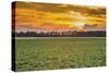 Sunset in the Field-Alexandr Savchuk-Stretched Canvas
