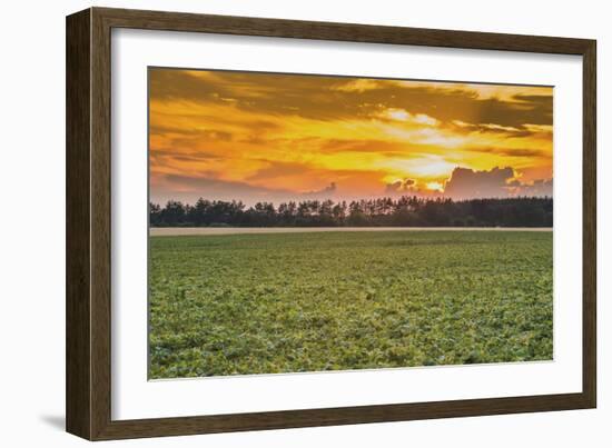 Sunset in the Field-Alexandr Savchuk-Framed Photographic Print