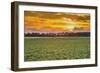 Sunset in the Field-Alexandr Savchuk-Framed Photographic Print