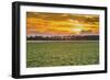 Sunset in the Field-Alexandr Savchuk-Framed Photographic Print