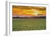 Sunset in the Field-Alexandr Savchuk-Framed Photographic Print