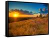 Sunset in the French Countryside-Philippe Manguin-Framed Stretched Canvas