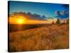 Sunset in the French Countryside-Philippe Manguin-Stretched Canvas