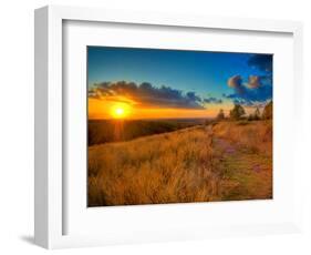 Sunset in the French Countryside-Philippe Manguin-Framed Photographic Print