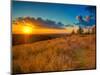 Sunset in the French Countryside-Philippe Manguin-Mounted Photographic Print