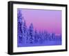 Sunset in the Lappish Winter, Finland-Daisy Gilardini-Framed Premium Photographic Print