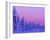 Sunset in the Lappish Winter, Finland-Daisy Gilardini-Framed Premium Photographic Print