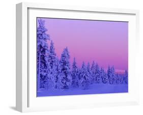 Sunset in the Lappish Winter, Finland-Daisy Gilardini-Framed Photographic Print