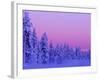 Sunset in the Lappish Winter, Finland-Daisy Gilardini-Framed Photographic Print