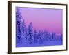 Sunset in the Lappish Winter, Finland-Daisy Gilardini-Framed Photographic Print