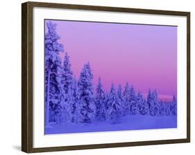 Sunset in the Lappish Winter, Finland-Daisy Gilardini-Framed Photographic Print